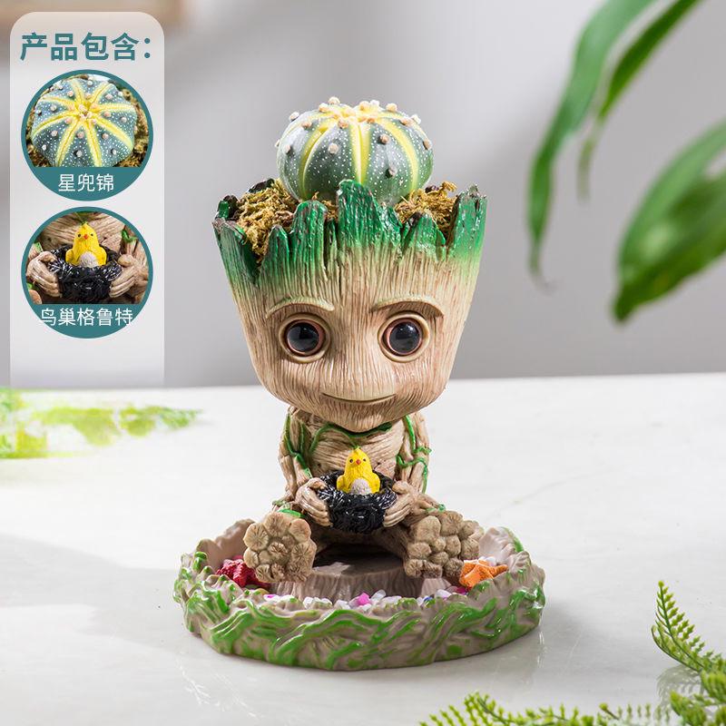 格鲁特鸟窝小花盆多肉植物仙人球仙人掌办公室桌面diy摆件好养活