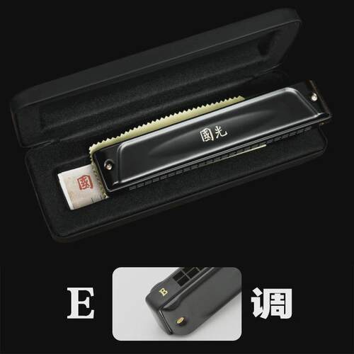 上海国光口琴24孔重音c调成人专业演奏复音特别调国之梦口琴高档