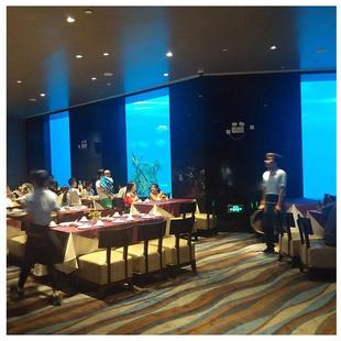 大型海洋馆水族馆海底世界建造工程设计设计施工海洋馆展厅工程