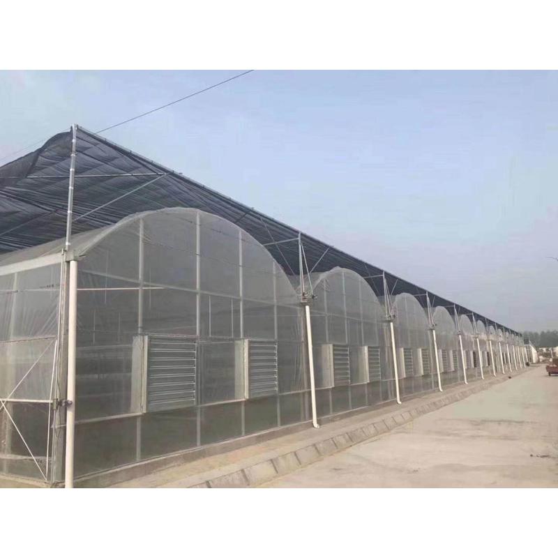 热销规格大棚设计安装热镀锌大棚管30*75*1.8温室齐全