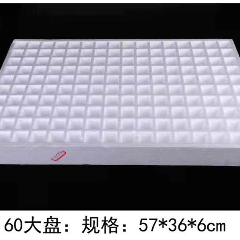 育苗飘盘泡沫莴笋托盘萝卜苗芹菜育苗盘生菜蔬菜培育水上板漂浮穴