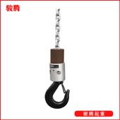 速双环链电动葫芦葫芦125kg运行式 欧式 环链电葫芦