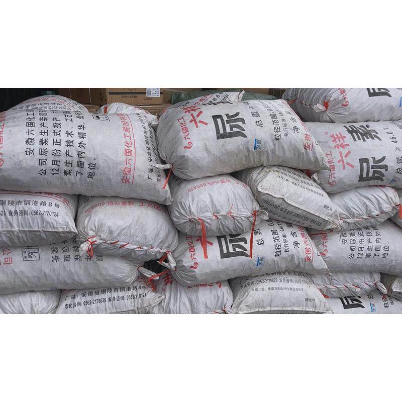 大棚夹子竹葡萄夹避雨棚防风内膜竹夹棵树拉枝夹子餐饮传新品