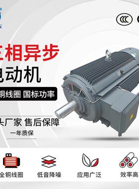 4电机三相异步电机ye3-355m/l-4/4s/4l马达220-355kw380v低噪极