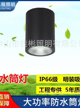 LED防水明装筒灯户外防水应急筒灯酒店雨棚灯天棚灯高铁站台灯