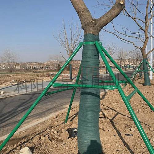 防风户外支撑固定架树木园林抱箍苗木固定器镀锌钢管防倒支撑杆厂