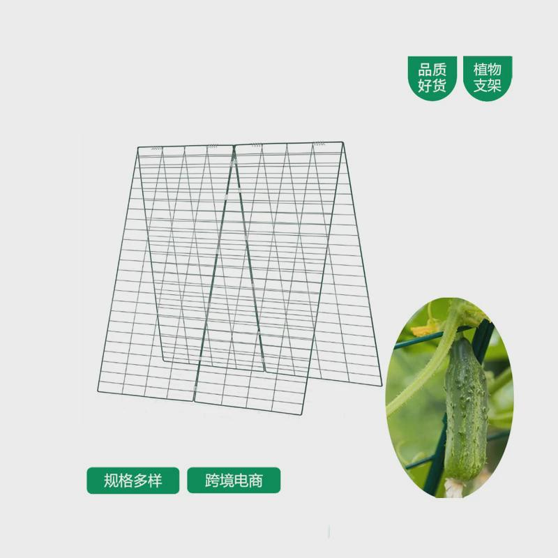 黄瓜架支架菜地种植黄瓜架豆角架攀爬支架植物葡萄爬藤架
