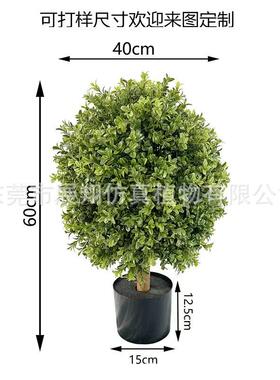 爆款直销仿真黄杨木杨梅叶圣假果白蒂树枝生枝插花摆件花卉景观