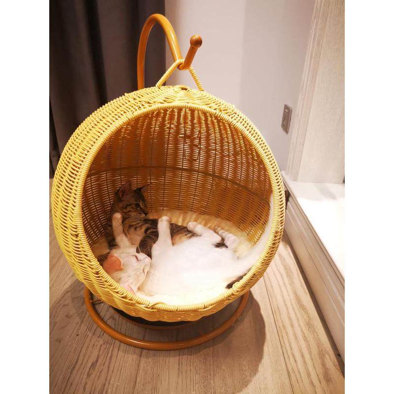 猫咪猫窝！宠物窝四季藤编大型四季通用猫床垫子摇篮透气宠物用品,宠物/宠物食品及用品,狗窝/屋/帐篷/沙发,淘宝优惠券,粉丝福利购,淘宝优惠卷
