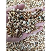 50斤鸽子粮无赛鸽粮鸟食饲料玉米鸽信鸽飞观肉幼成鸽粮19省