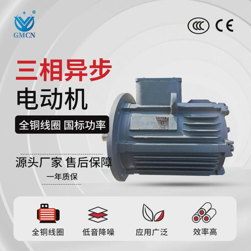 三相异步潜水电机防水防水电动机耐高温水下运行ip68大功率马达