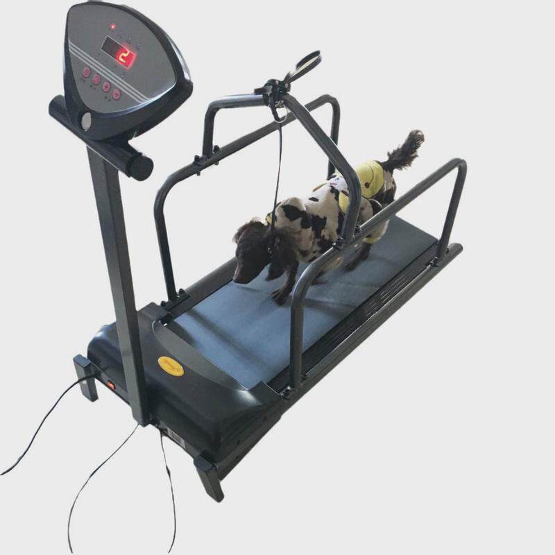 宇晟宠物跑步机小型家用犬用跑步机动物跑步机宠物狗用品C100