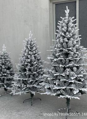圣诞节雪松雪花植绒pe圣诞树1.5米1.8米2.1米3米仿真白色雪景装饰