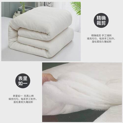 棉花被芯棉絮床垫棉被冬被褥子单人铺底垫被被褥学生宿舍加厚新品