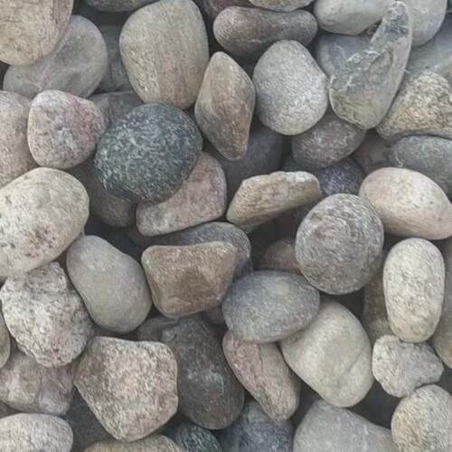 天然鹅卵石变压器杂色鹅卵石油池回填多个型号支持混批量大优惠