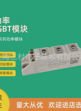 可控硅模块skkt41425657586071/08e12e14e16e18e全新