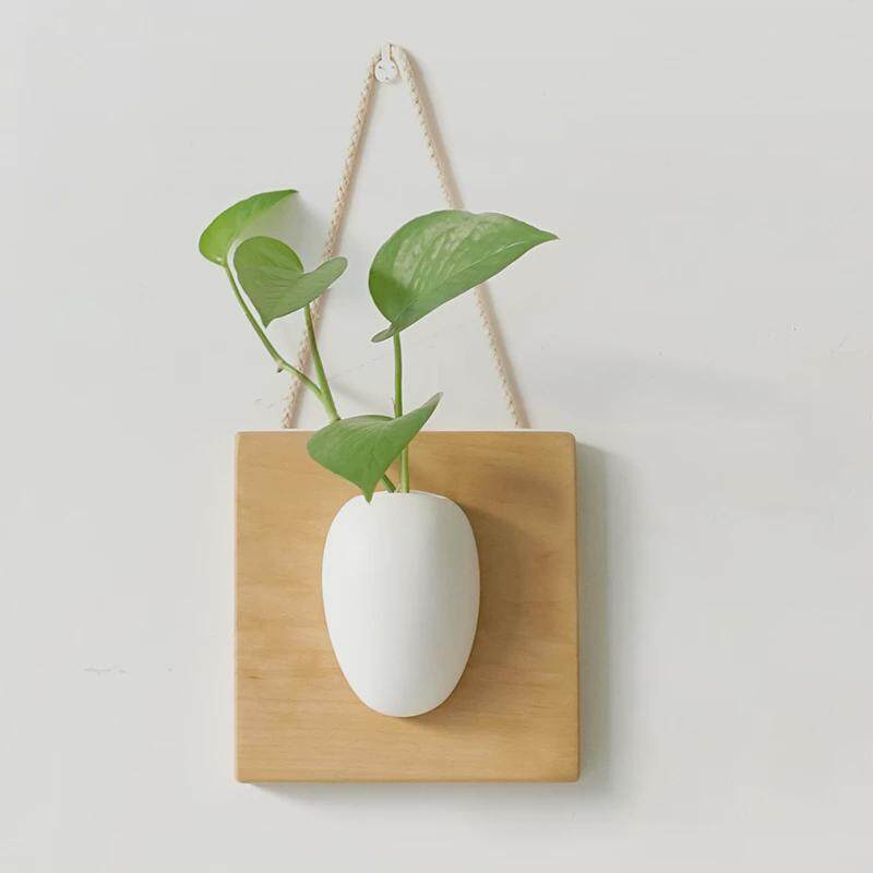 5zw批发墙面装饰墙挂水培墙壁挂件花瓶插花餐厅壁挂书房器原木风