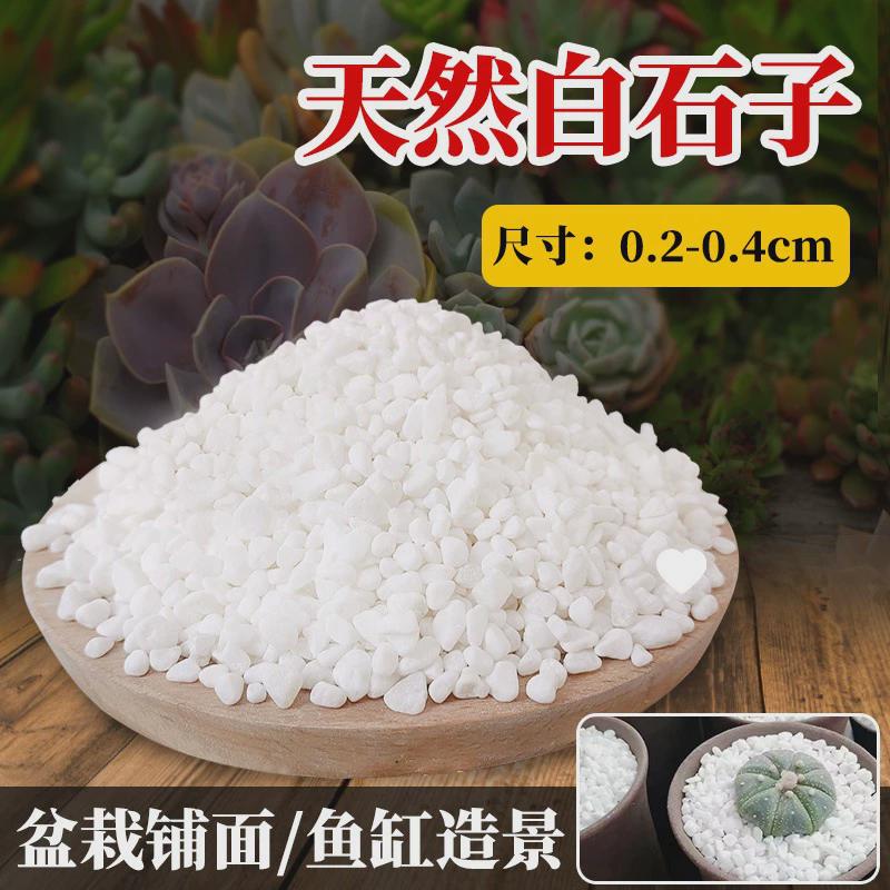 天然白石子庭院铺路鹅卵石造景石子颗粒小白石头阳台白色景观砾石
