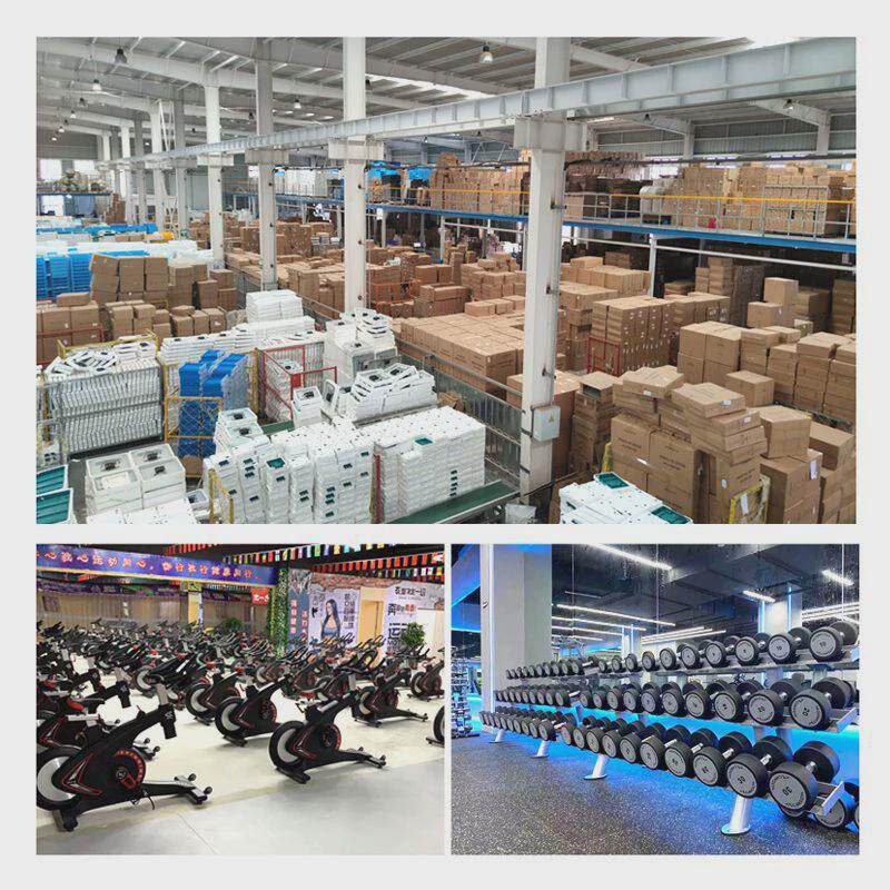 杠铃架子固定臂弯举杠铃硬拉包胶杠铃商用5对装健身房杠铃小架