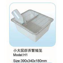 小鼠价直供小鼠繁殖笼实验笼大厂饲养笼厂家供应