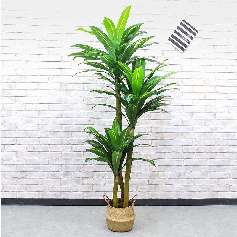 巴西木落地装饰假树大型绿植盆栽热带仿真植物仿真巴西铁室内盆栽