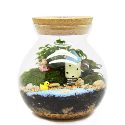 苔藓植物创意礼品摆件绿植苔藓瓶生态瓶有氧微景观小世界
