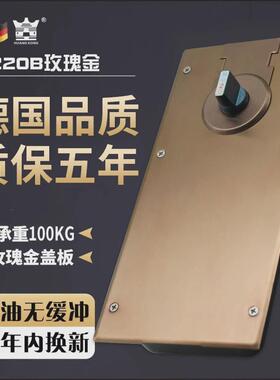 通用型220b玫瑰金拉丝盖板玻璃门地弹簧门饰板有框红色木门配件