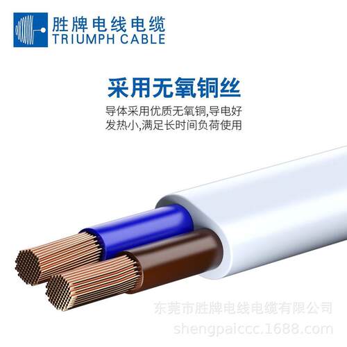 电源线线束h05vvh2-f2*1.0欧规led驱动电源耐燃阻燃引线305米