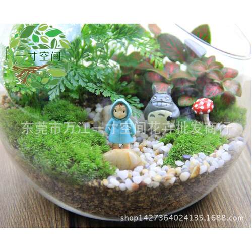 苔藓微景观斜口瓶小梅diy摆件微景观套装创意礼品