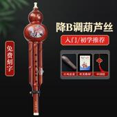 奇美葫芦丝乐器初学者c调降b小学生儿童专业演奏防摔胡芦丝调专用
