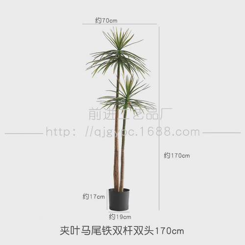 沙生植物仿真芦荟龙舌兰造景装饰摆件假树荷兰铁马尾铁店铺软装