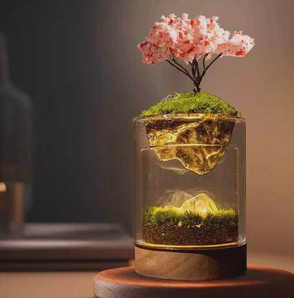 光有（青年）苔藓微景观生态瓶办公桌面绿植室内diy植物造景盆栽,农机/农具/农膜,播种栽苗器/地膜机,淘宝优惠券,粉丝福利购,淘宝优惠卷