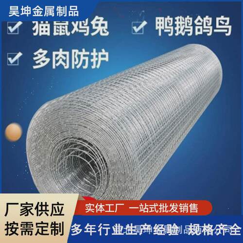 镀锌铁丝网养殖隔离防护网加粗铁丝网片狗笼网电焊建筑钢筋网格
