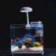 创意定制尺寸透明迷你乌龟缸金鱼缸可小型鱼缸生态桌面鱼缸水族