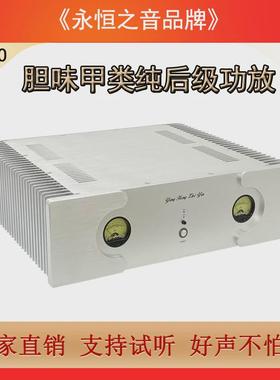 永恒之音X2pro升级版胆味甲类大功率HiFi发烧级家用纯后级功放机
