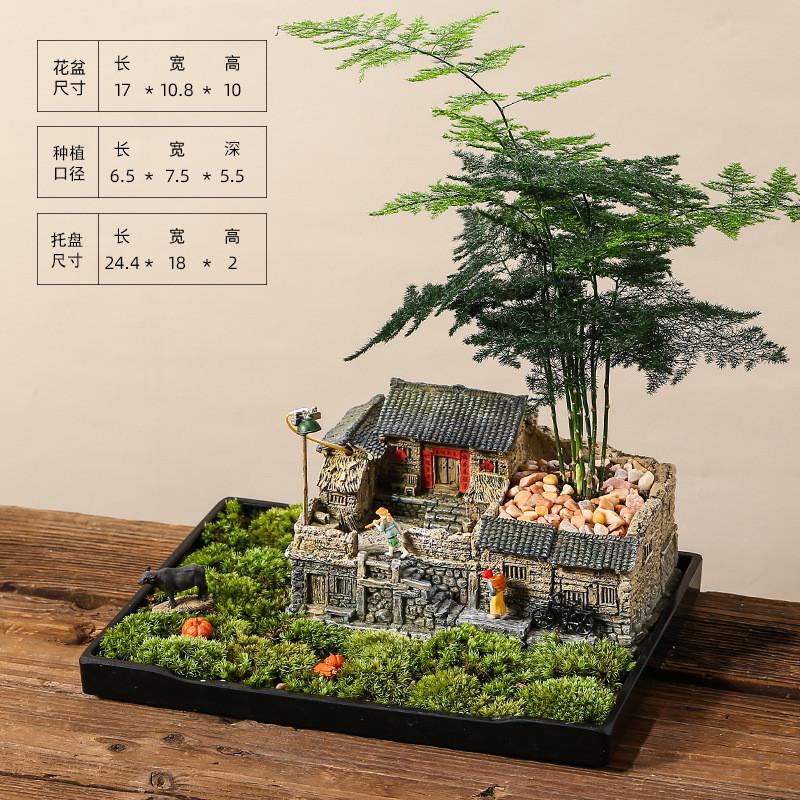 6buj文竹盆景植物室内造景客厅办公室桌面微景观小盆栽老房子模型