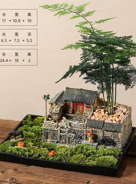 6buj文竹盆景植物室内造景客厅办公室桌面微景观小盆栽老房子模型