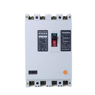 天正DZ20L-160/3N300160A漏电保护开关塑壳断路器4P三相四线380V
