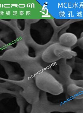 热销300mm混合纤维微孔滤膜一次性混合纤维过滤纸抽滤装置mce抽滤