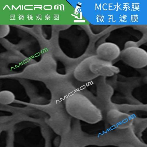 热销60mm混合纤维素（mce）滤膜系滤膜亲水微孔圆片膜低蛋白吸附