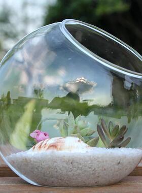 斜口微景观苔藓生态瓶高透明多肉玻璃花瓶DIY花瓶创意礼品