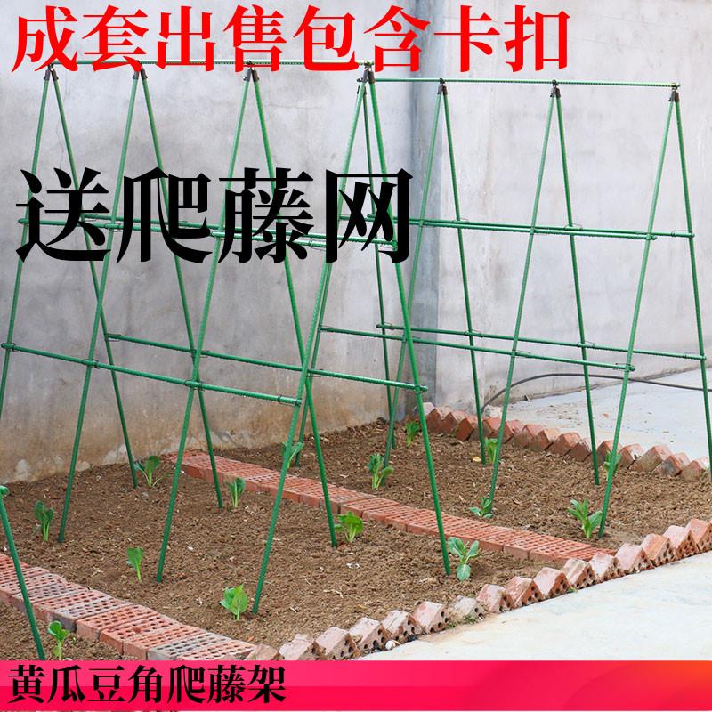 黄瓜豆角架爬藤架杆花架庭院支撑架植物家用种菜架固定攀爬户外图片