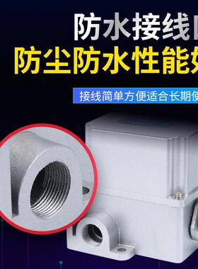 杆式行程限位开关df1-a/b重负荷限位器可调转臂滚轮摆厂家