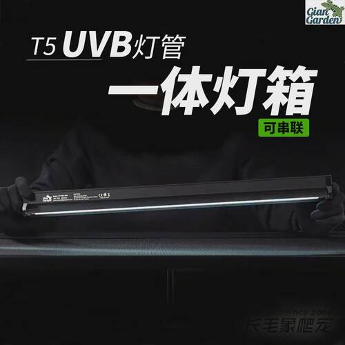 爬宠UVB灯管一体T5灯箱玻璃缸陆龟鬃狮黄缘蜥蜴爬虫补钙灯可串联