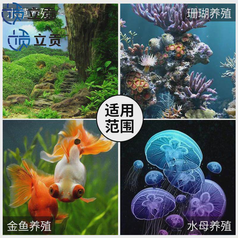 厂家直销立贡家用珊瑚小型恒温鱼缸冷水机水族箱半导体电子制冷机
