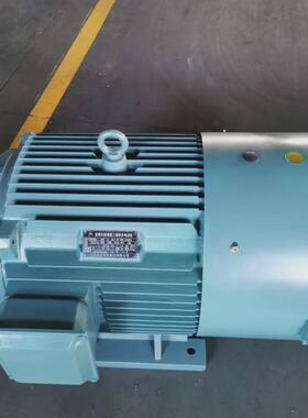 ye3vp千瓦无极调速三相异步电机0.55变频-315千瓦电机yvf246变频