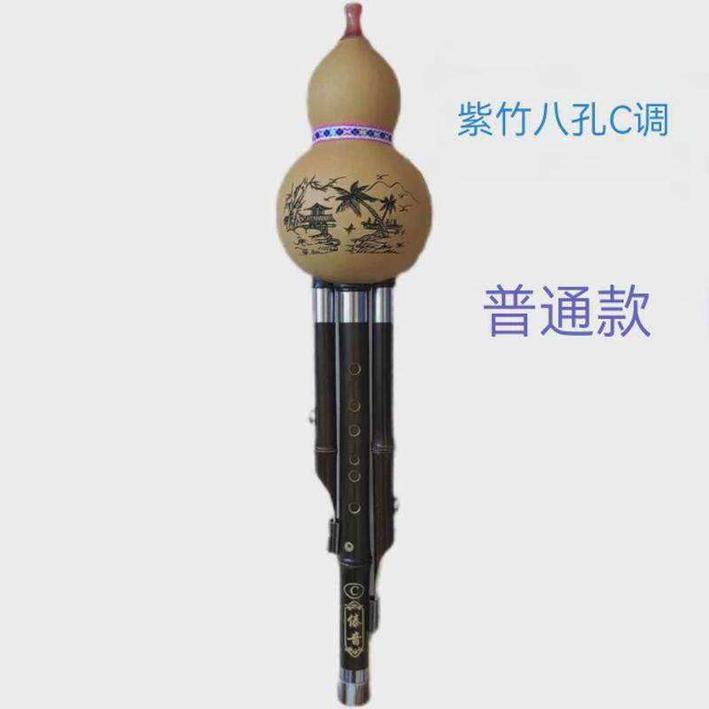 葫芦丝专业演奏乐器8孔c调紫竹楠竹七孔成人学生降音学习傣bgfd