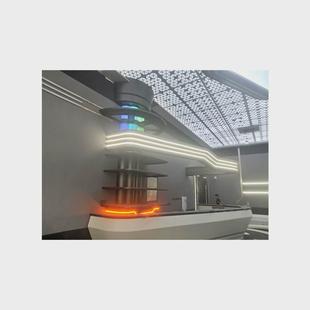 海凤扬雕塑艺术五彩灯光创意艺术装饰炫彩增加室内繁华的景色