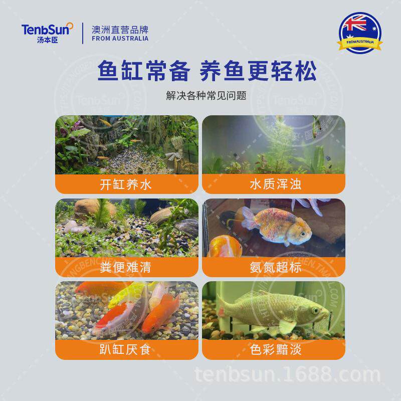 【汤本臣鱼愈17号】鱼缸高浓缩硝化菌鱼类粪便排泄物降解净化水质