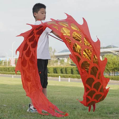 儿童舞龙健身龙带龙头广场耍龙甩彩带道具彩广场舞龙空竹龙手甩龙